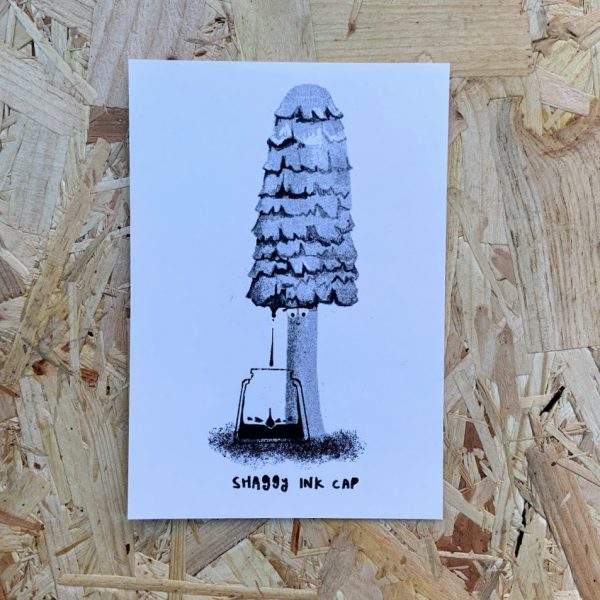 'Shaggy Inkcap' A5 Risograph Print